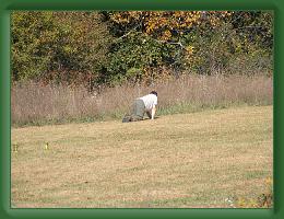 Kettle-Moraine (11) * 3072 x 2304 * (1.69MB)